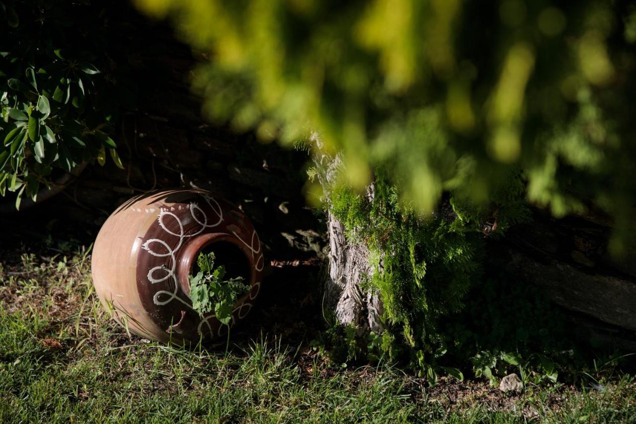 "Palatiana Agriturismo-Philoxenia Cottages", Private Nature Retreats Galini  Exterior photo